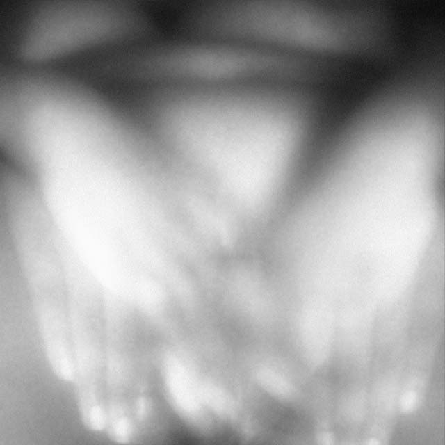 Glimpse of Bella #1