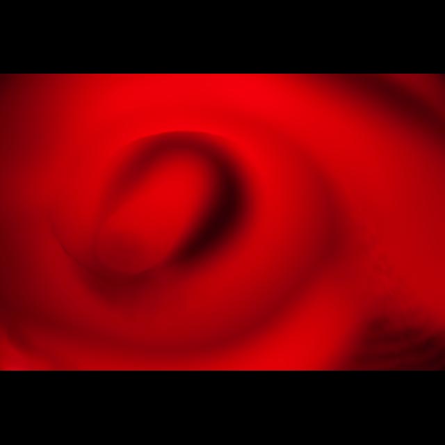 View From My Cervix?