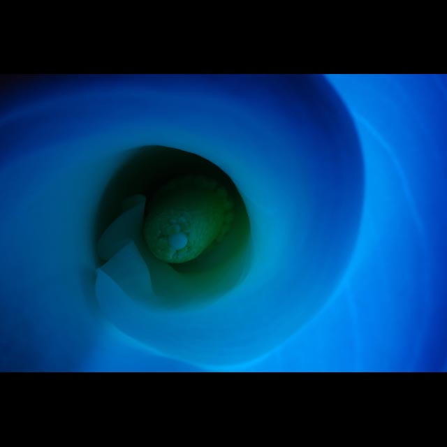 Blue Depths